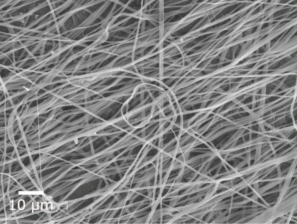 Electrospun chitosan nanofibers on mouse bone