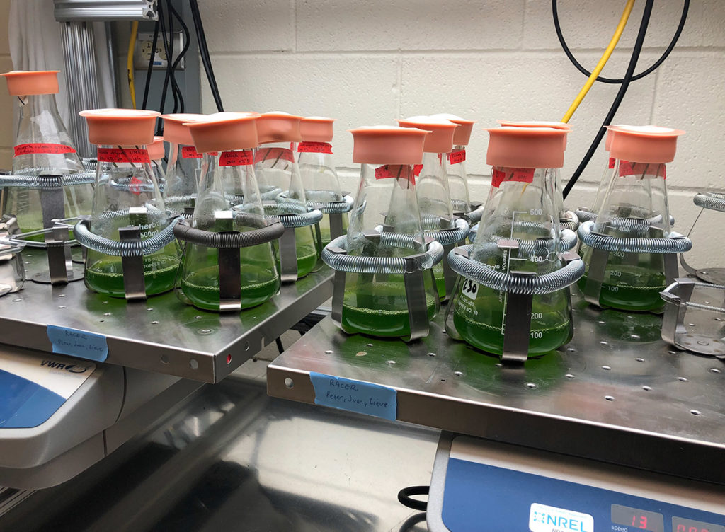 Main nutrient recycling experiments, CSU/NREL; photo courtesy Juan Venegas