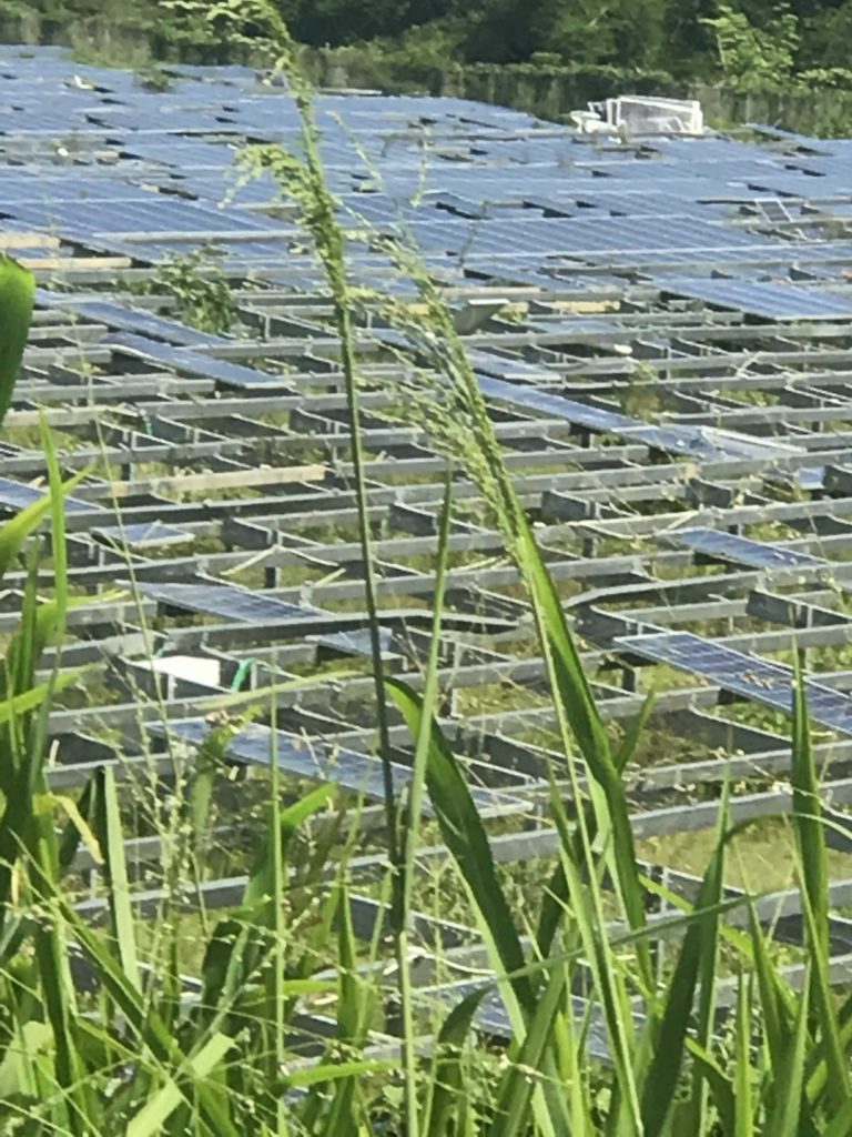 Solar farm after hurricane