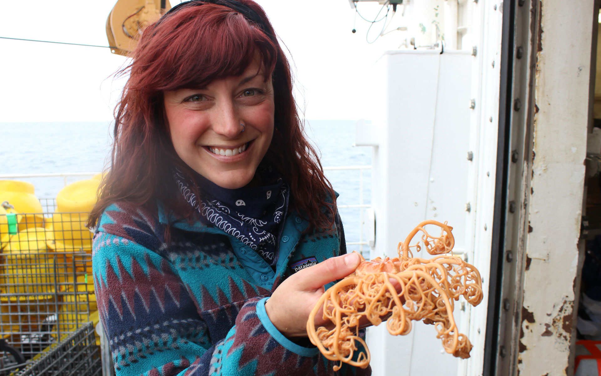 Researcher holding basket starfish