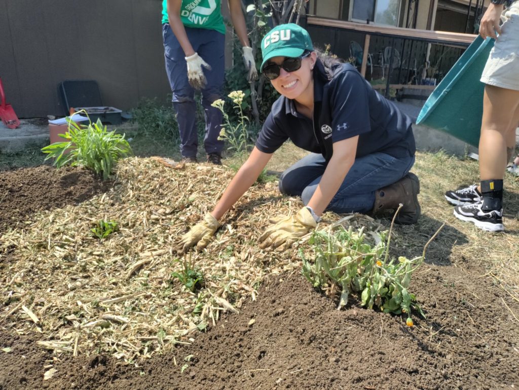 Jessica Thrasher working to install a rain garden in Denver