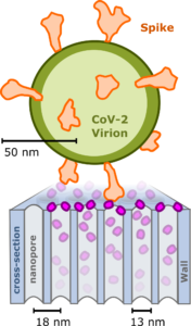 schematic of virus capture with protein crystals