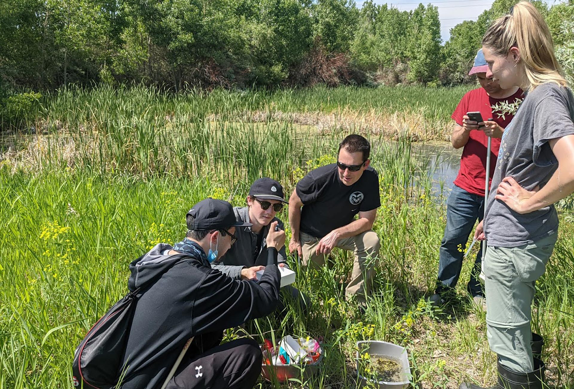 Research team performing fieldwork