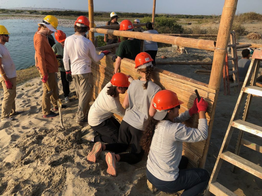 Students work to secure the cane matting to the bamboo structure of the bird blind. The waters of the estuary are visible in the background.