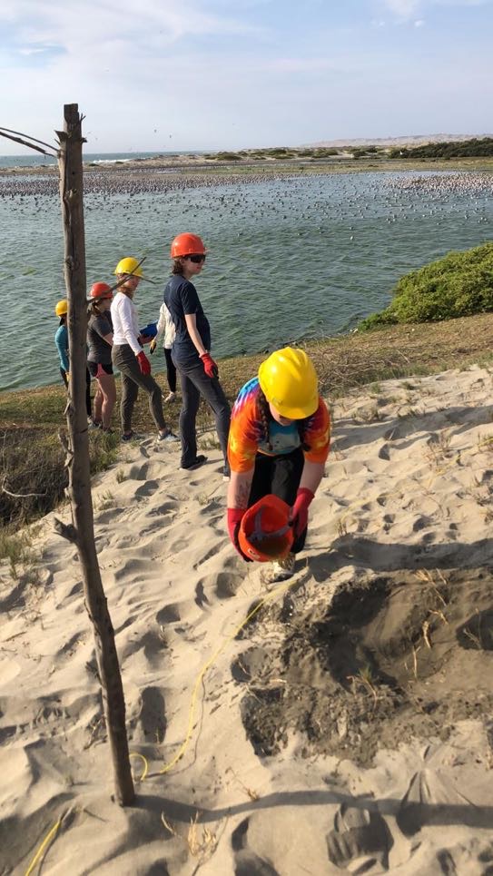 Students wearing jeans, T-shirts, and brightly colored hard hats form a bucket brigade up the beach to provide water for mixing the concrete in their construction project.