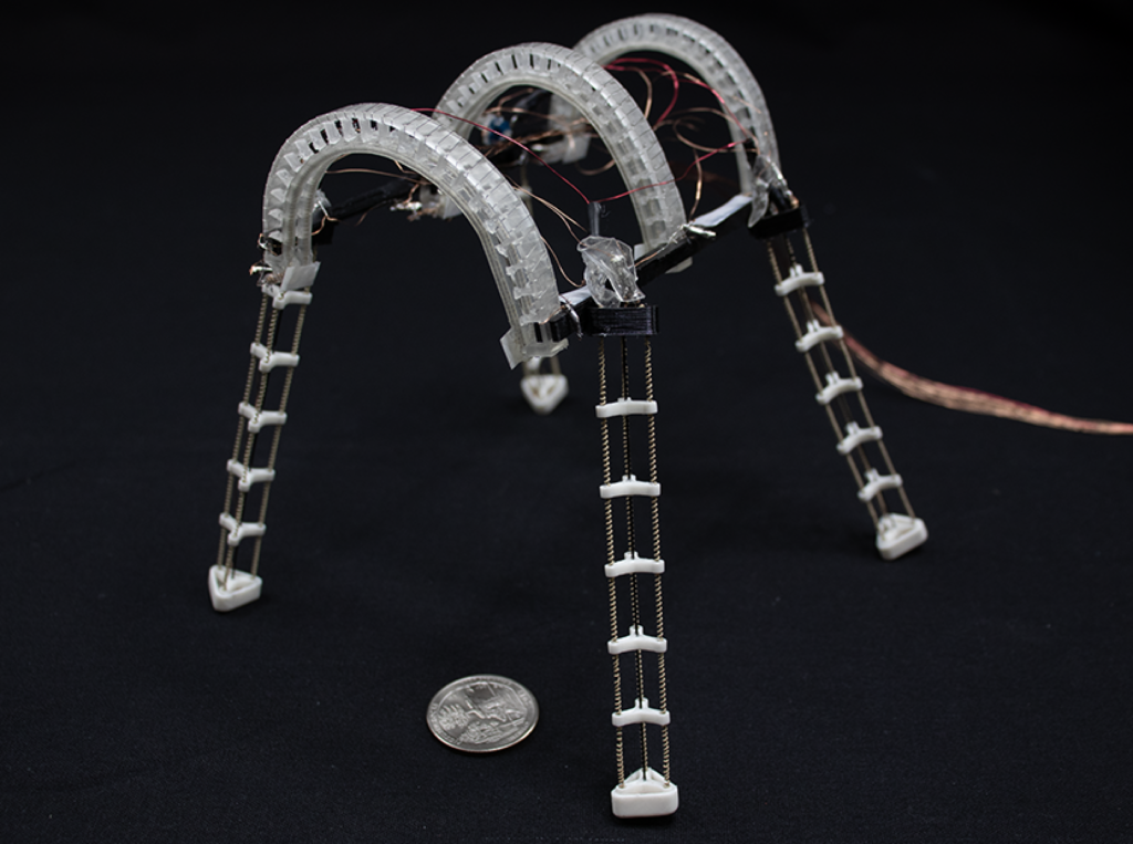 Morphing robots can grip, climb and crawl to mimic animals