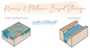 An infographic comparing two riparian ecosystems, with the heading "Rivers & Nature-Based Storage" and the subheading "Water & Sediment." On the left, a healthy ecosystem with meandering stream bed, vegetation, and ponds, labeled "Natural/Restored." On the right, a straight streambed that is eroding its banks and devoid of vegetation is labeled "Degraded".