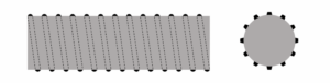 A technical drawing of a conventional prosthetic coupler, showing a cylinder with a helical ribbing surrounding it.